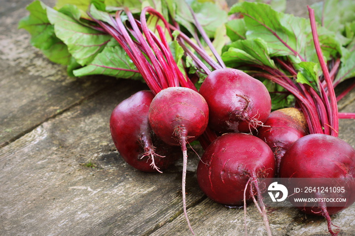 Fresh beetroot on rustic wooden background. Harvest vegetable cooking conception . Diet or vegetaria