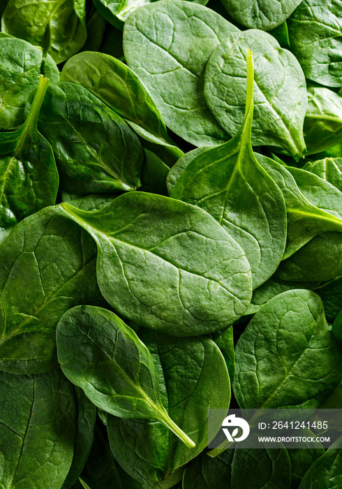 Close-up of fresh organic spinach