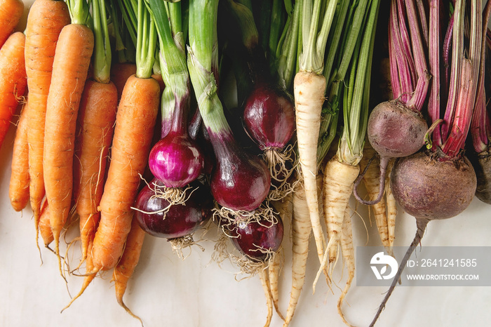 Variety of root garden vegetables carrot, purple onion, beetroot, parsnip with tops over white marbl