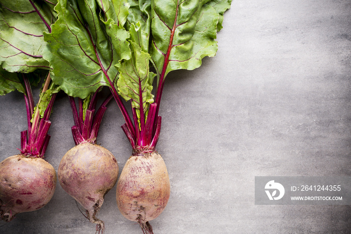 Beet harvest.