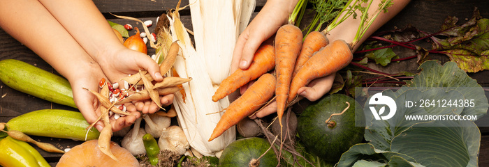 新鲜的农场蔬菜，有机健康食品。农业丰收。