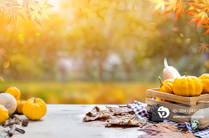 秋天和秋天收获聚宝盆的季节，在木材上种植水果和蔬菜的感恩节
