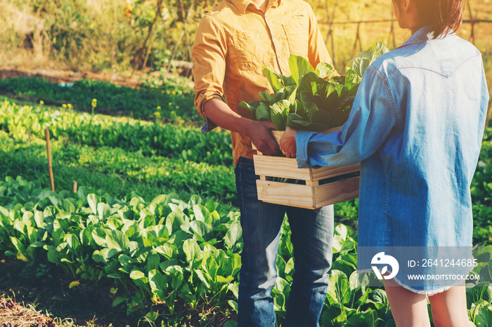 farmer couple holding a crate of bio vegetables in the farm. Happy man and woman showing box of harv