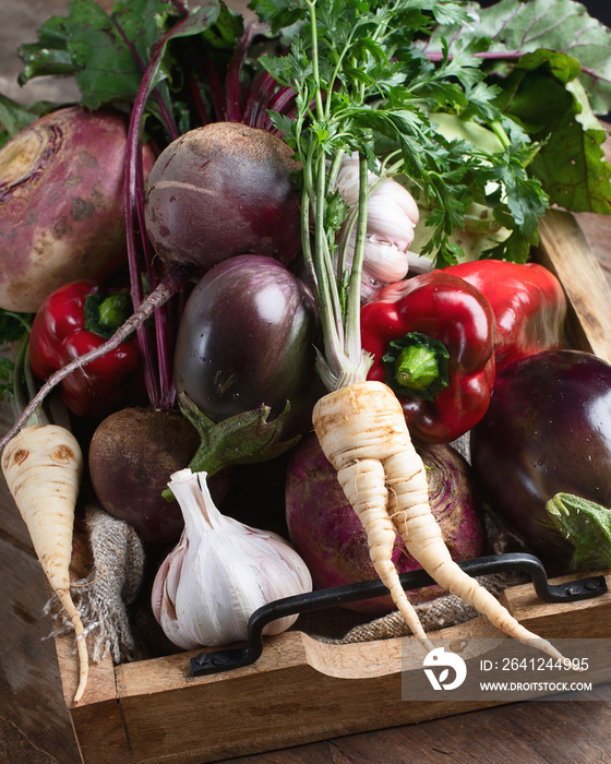 Fresh harvested vegetables.