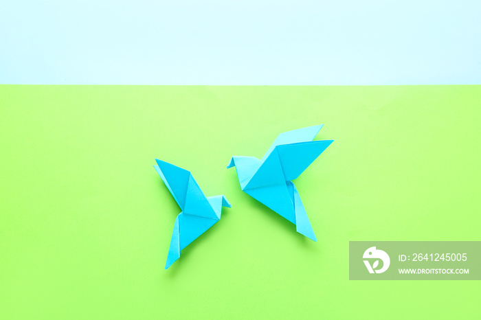 Origami birds on color background