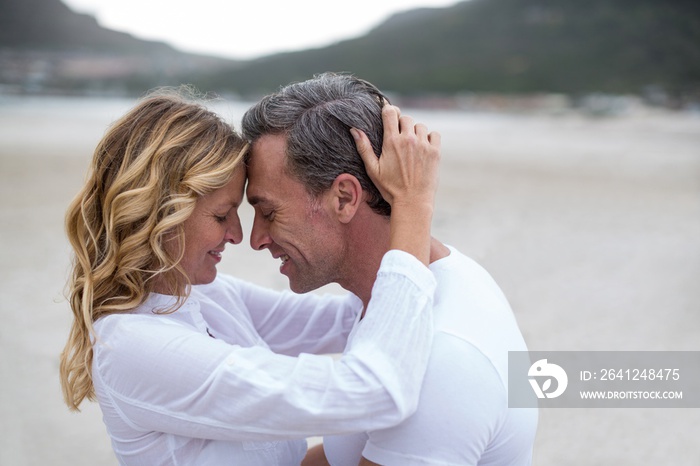 Mature couple embracing each other on the beach