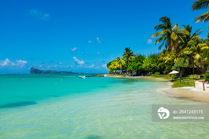 tropical beach with coconut palms on the background of the islan