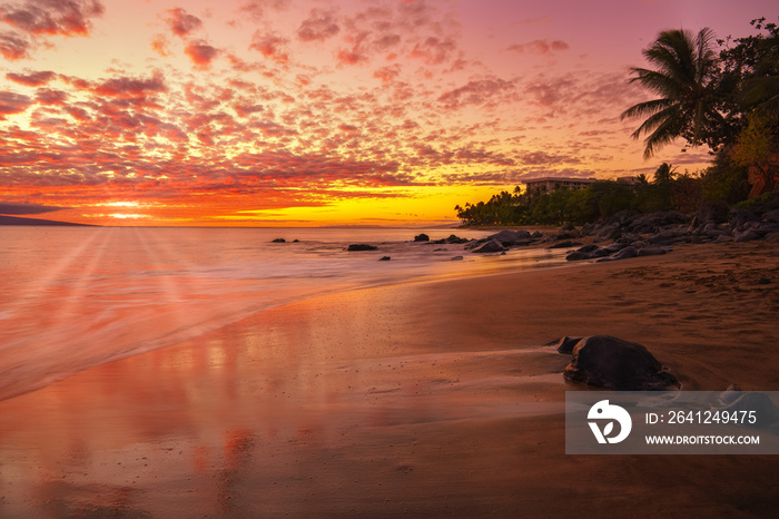 Hawaiian sunset on the beach