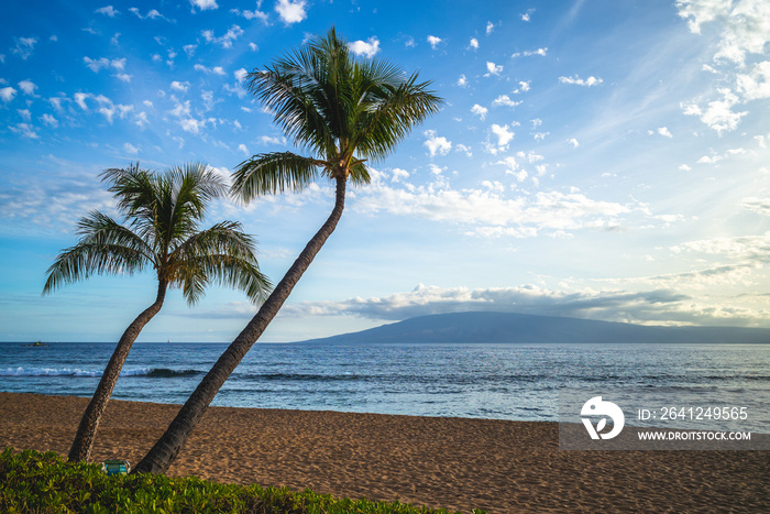 scenery at kaanapali beach in maui island, hawaii