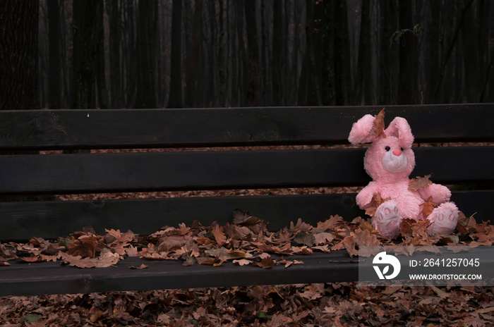孤独的被遗忘的泰迪玩具兔子坐在一张长满秋叶的木长椅上。