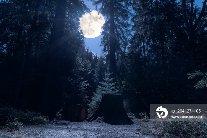 一个浪漫的地方，在午夜，在满月的德国森林里。前景是一把锯子