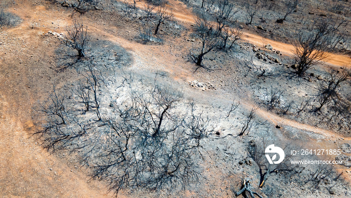 希腊火灾后果的无人机鸟瞰图