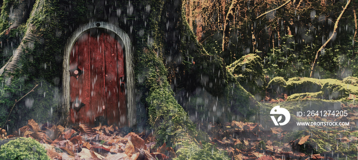 Fairytale fantasy house in tree trunk in forest