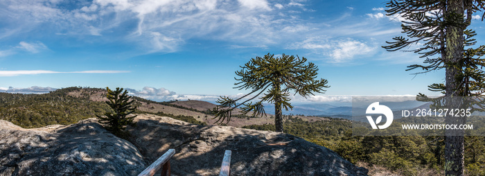 智利纳胡尔布塔国家公园的鹰之石