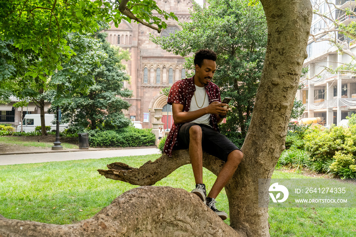 Man with smart phone sitting on tree in park