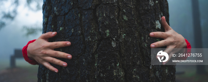 Touch and connect to the nature, Girl stand behind and hugging the tree bark in forest, Concept of e