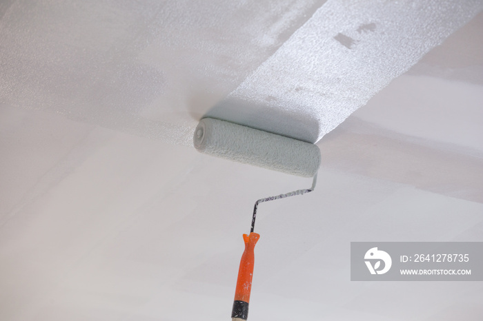 painting a gypsum plaster ceiling with roller