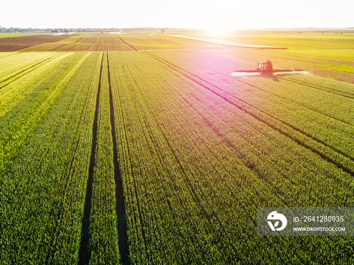 Farmer spraying green wheat field