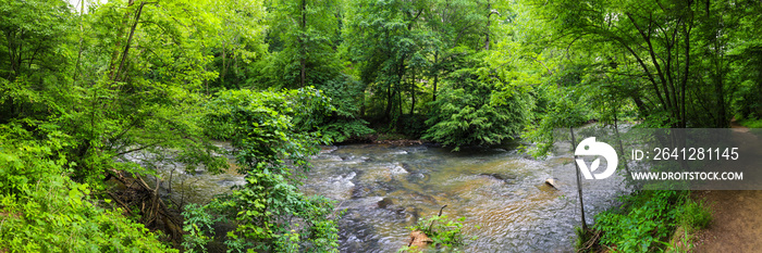  a stunning panoramic shot of the rushing river water of Big Creek river with lush green trees and l