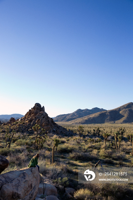 Barren landscape with woman sitting on rock