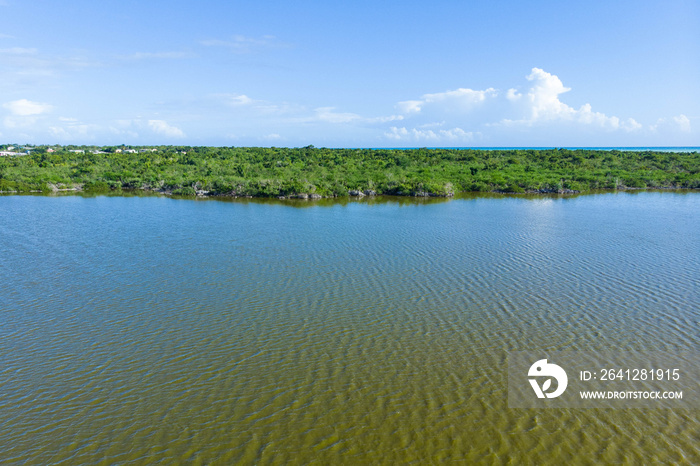 Caribbean Island bay with mangroves