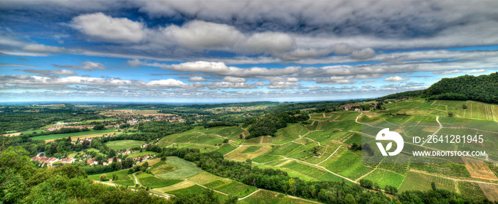 Le vignoble jurassien à Château-Chalon, Jura, France