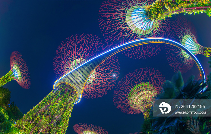 Supertree Grove. Garden by the bay or outdoor artificial trees in Marina Bay area in urban city of S