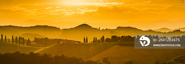 Vineyards in Austria south Styria, wine country,