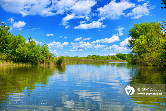 The beautiful Tisza lake with a nice reflection on the water