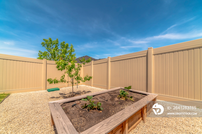 Close up of a raised garden bed beside a young tree at the backyard of a home