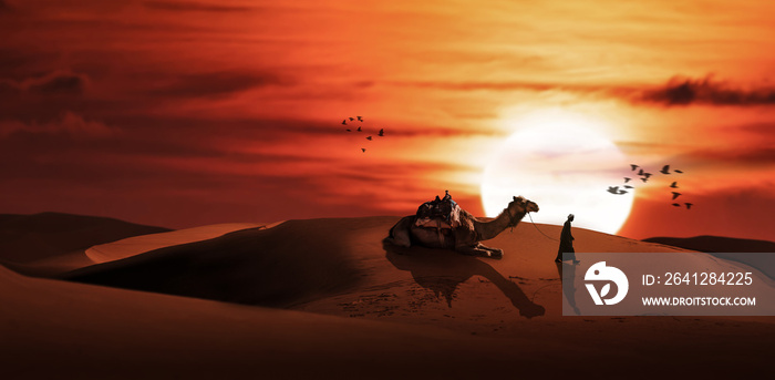 沙漠日落风景中的一个男人和骆驼的剪影。