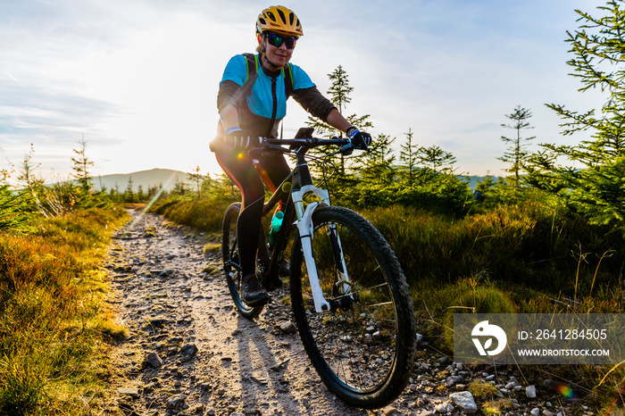 Mountain biking woman riding on bike in summer mountains forest landscape. Woman cycling MTB flow tr