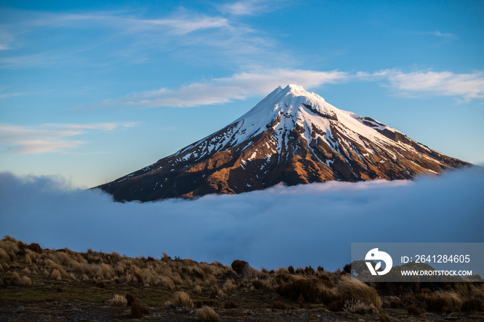 new zealand