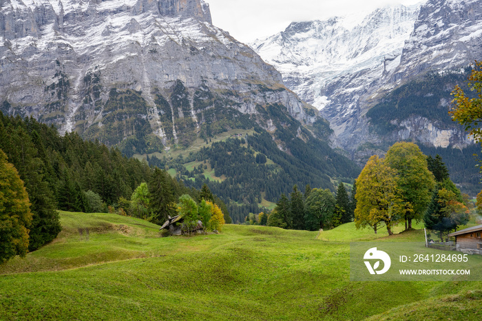 Gletscherdorf Grindelwald ,Heimat von Eigernordwand und Bergführern. Ferienort für Wanderer und Wint