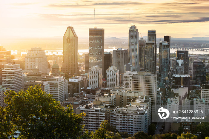 Montreal skyline from Mont Royal