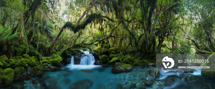 Autumn Forest Landscape With Beautiful Falling Cascades Of Creek And And Colored Leaves On The Stone