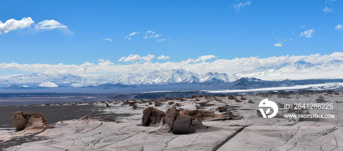 多种浮石岩石的全景图，背景是一系列火山山脉，un