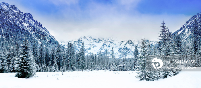 雪冬景观，扎科帕内美术馆