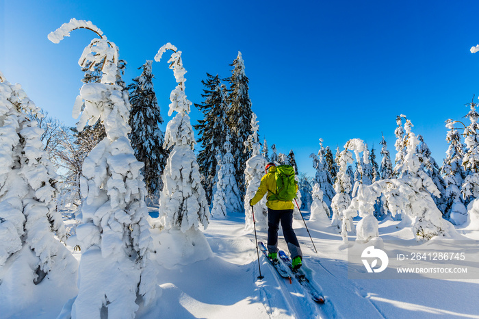 Ski in Beskidy mountains. The skituring man, backcountry skiing in fresh powder snow.