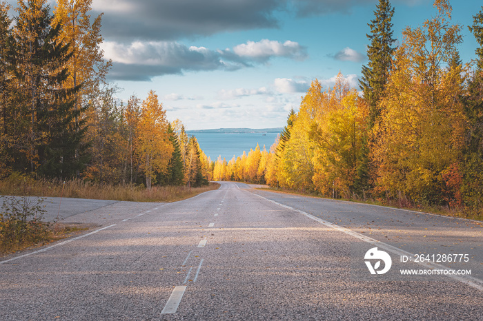 Autumn road view from Sotkamo, Finland.	 