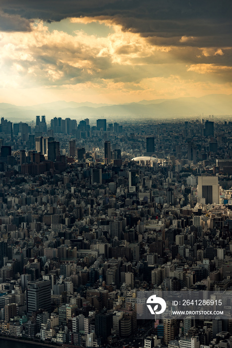 光芒に照らされる東京の都心の風景　縦構図