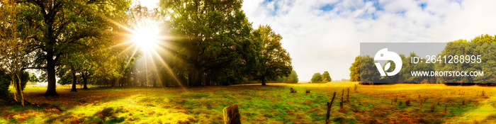 赫布斯特的Landschaft，瓦尔德和威斯的全景