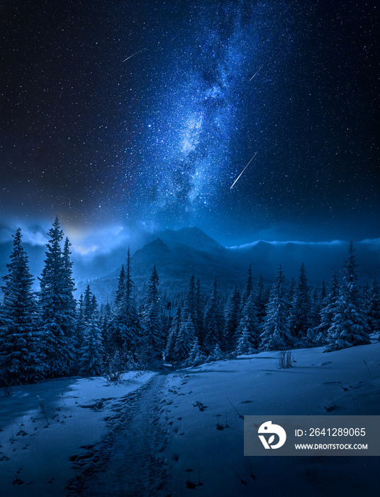 Tatras Mountains in winter at night and falling stars