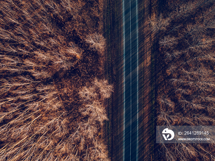 Aerial view of brand new road through autumn forest