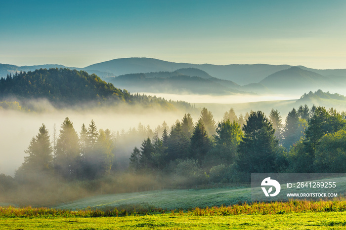 秋天早晨的山雾景观。斯洛文尼亚扎兹里瓦村附近的奥拉瓦地区