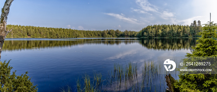 郁郁葱葱的绿色夏季森林与平静如画的荒野湖泊的全景景观