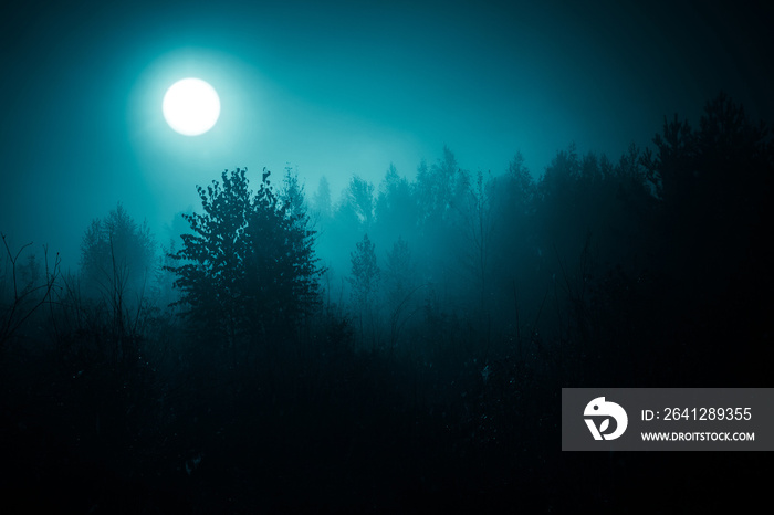 寒冷色调的夜晚神秘景观——满月和d下森林树木的剪影