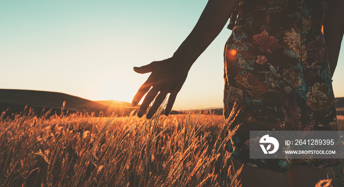 Attractive female in summer dress touches with hand meadow with sunset in the background. Intentiona