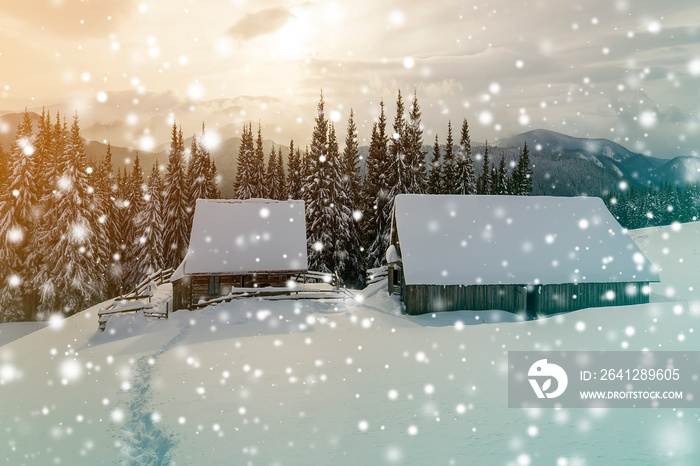 Winter mountain landscape. Old wooden houses on snowy clearing on background of mountain ridge, spru