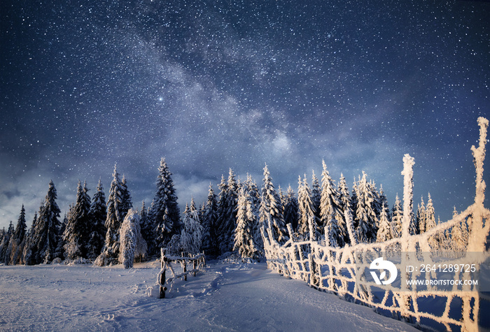 Winter landscape. Mountain village in the Ukrainian Carpathians. Vibrant night sky with stars and ne